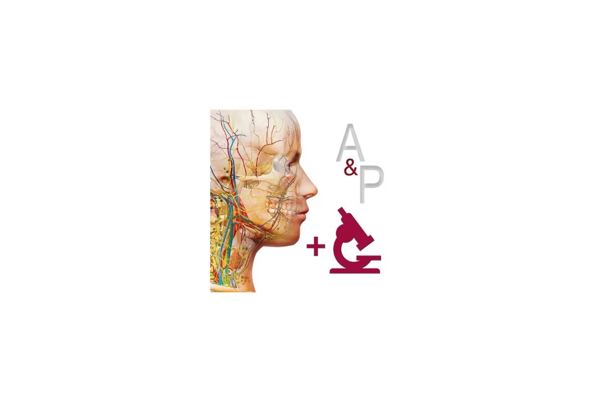 Anatomy and Physiology v6 for Mac 解剖生理医学软件