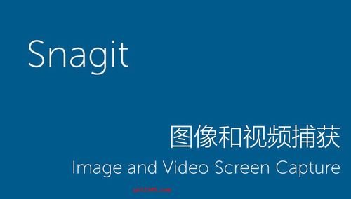 Snagit 2018  For  Windows软件安装教程