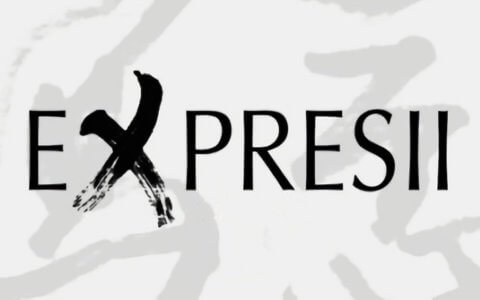 Expresii 2020 For    Windows软件安装教程