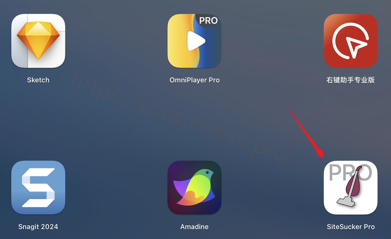 sitesucker_pro