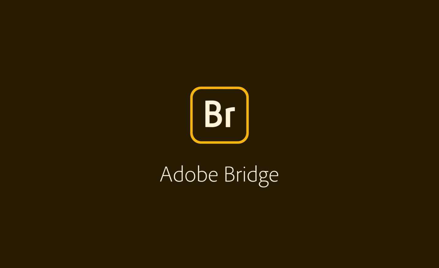 Adobe Bridge（Br） CC2025  for  Windows 软件安装教程